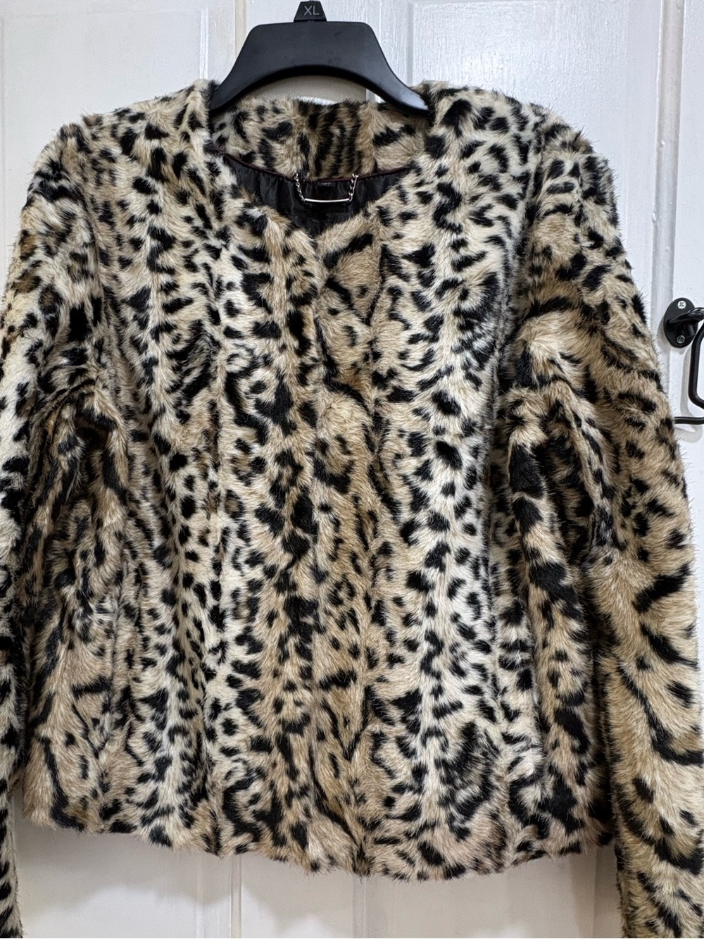 Express Leopard-Print Faux Fur Short Jacket in Cream and Black - Picture 6 of 7